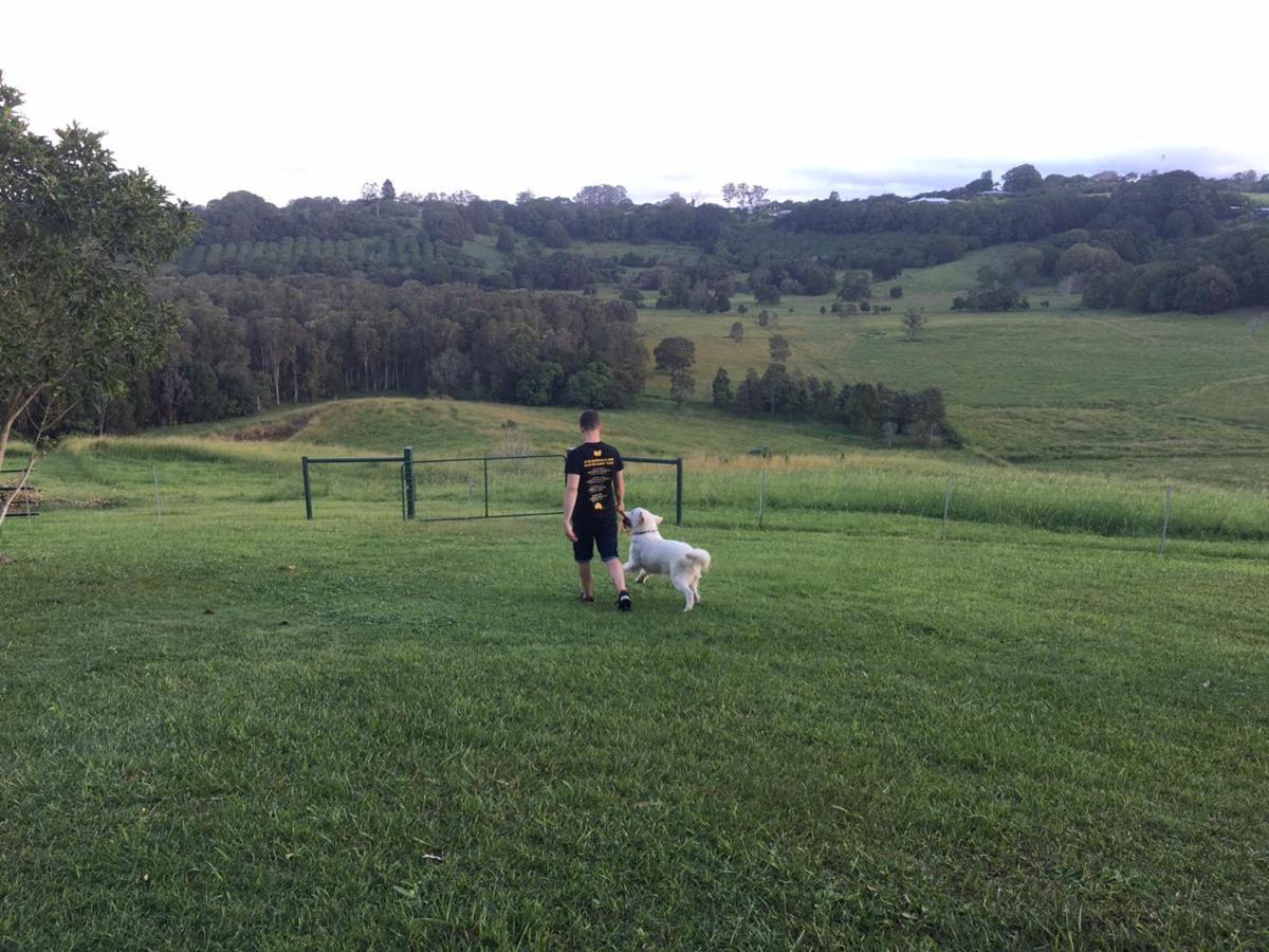 Gasthaus Tropical Coast Retreat - Pet Friendly - Adult Only Kingscliff Exterior foto