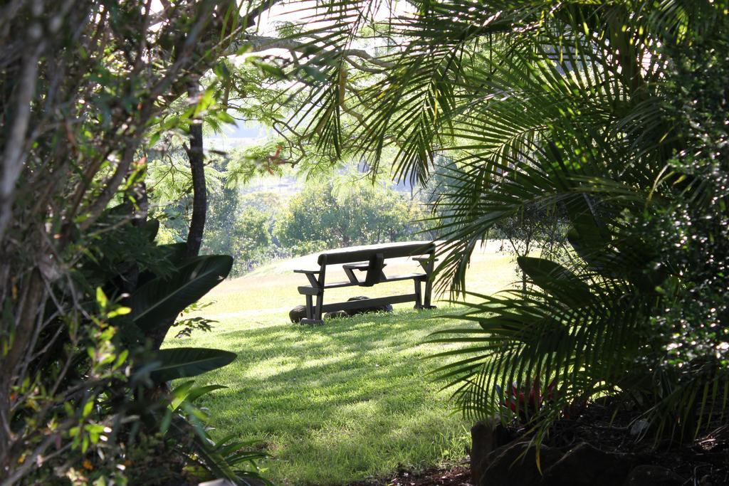 Gasthaus Tropical Coast Retreat - Pet Friendly - Adult Only Kingscliff Exterior foto