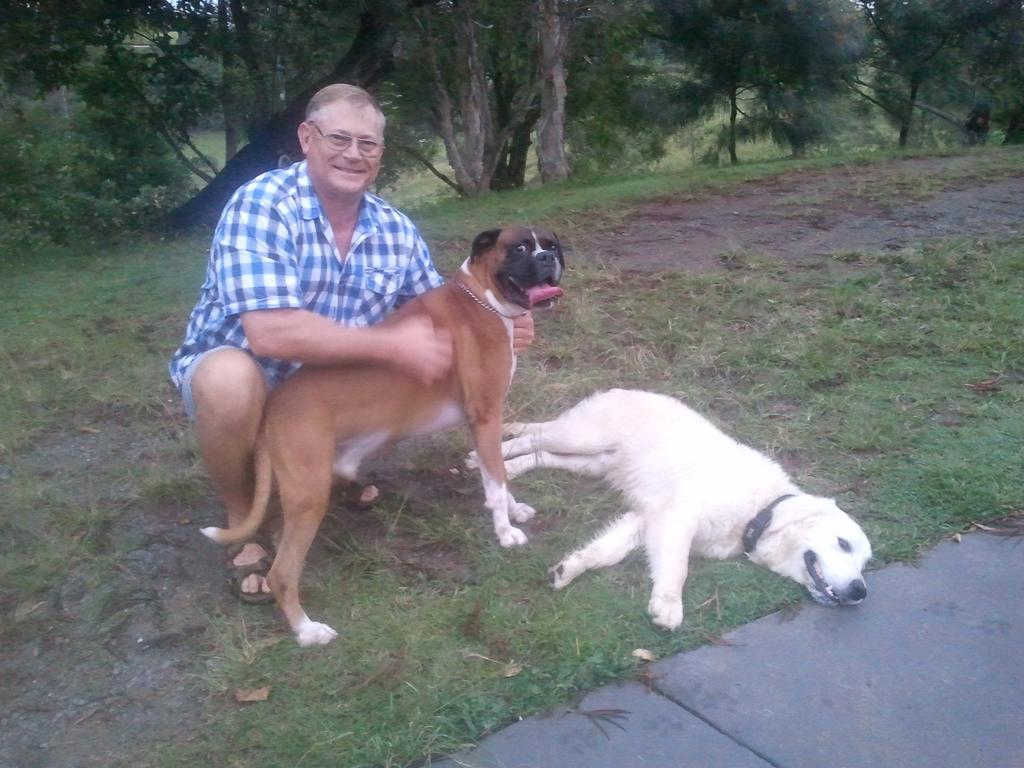 Gasthaus Tropical Coast Retreat - Pet Friendly - Adult Only Kingscliff Exterior foto